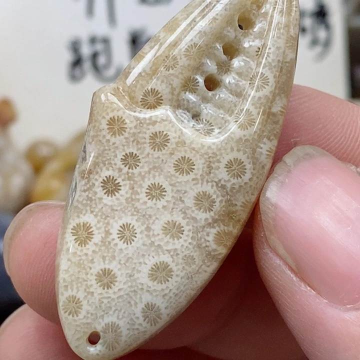 颈饰未镶嵌硅化珊瑚（珊瑚玉）