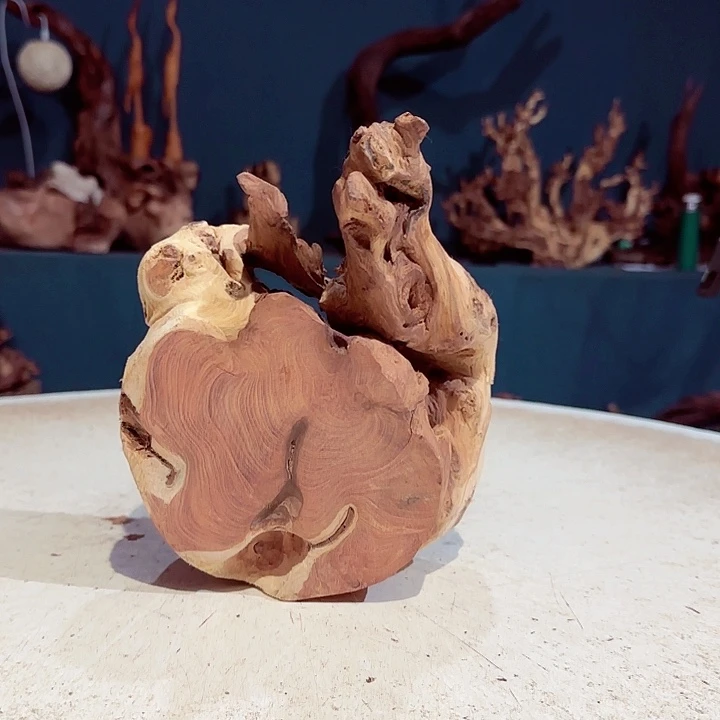 大***志木394 金色红木羊蹄甲半成品