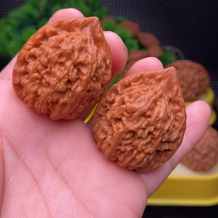 蚂蚁王34全品111111