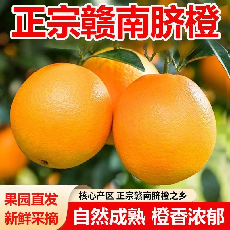 橙子赣南脐橙当季新鲜甜橙大果正宗江西赣州脐橙产地直发