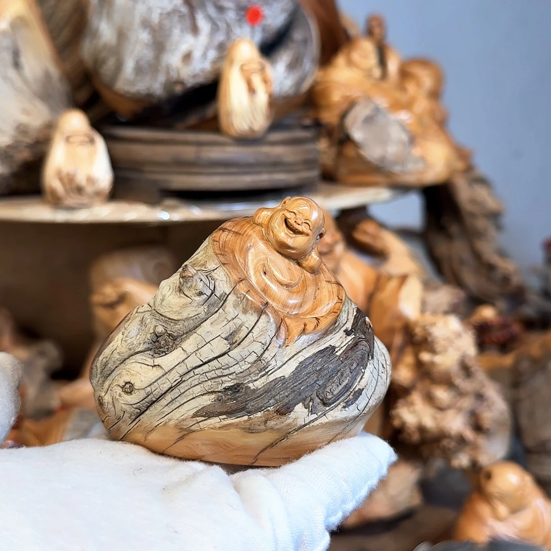 柏木（崖柏）6666666