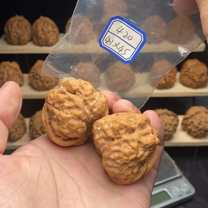 核桃蛤蟆头41尺暴力肌肉蛙