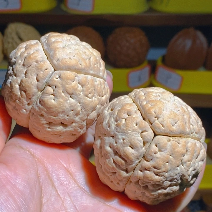 野生三瓣脑纹大金刚5660
