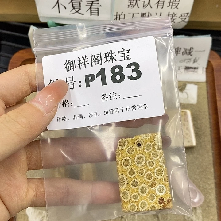 硅化珊瑚（珊瑚玉）未镶嵌颈饰闻*辞