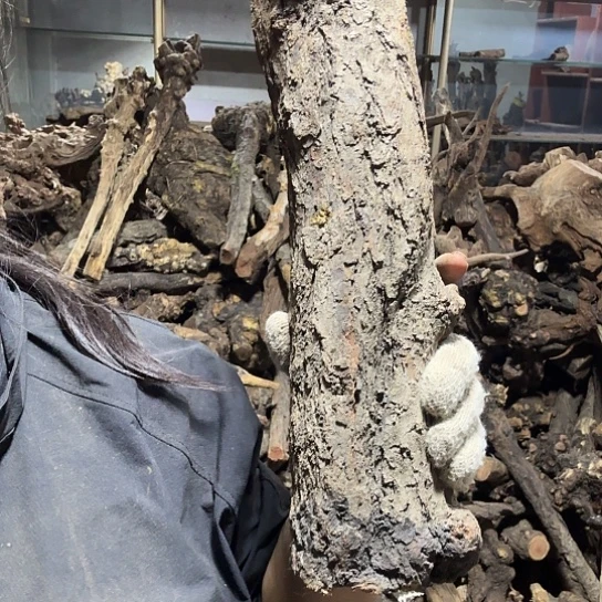 香榧木用****0火琉璃的故事man'lian