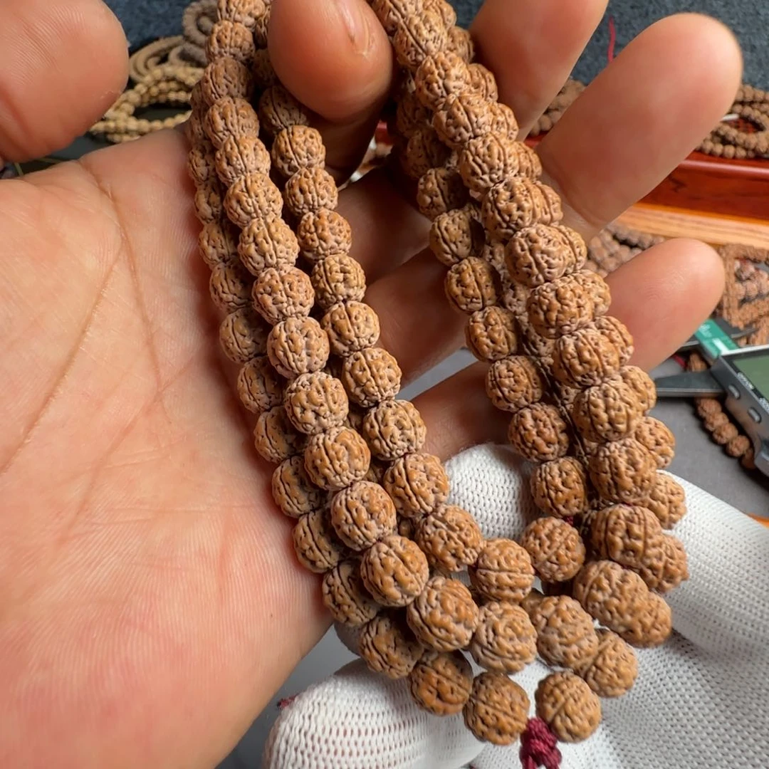 请***东一物一图0592闷墩龙