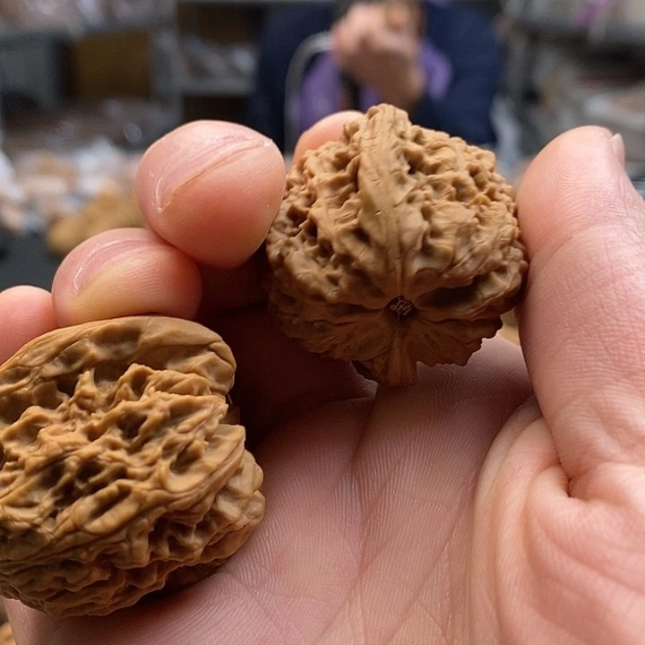 大叶紫檀（黑酸枝木类）天残脚