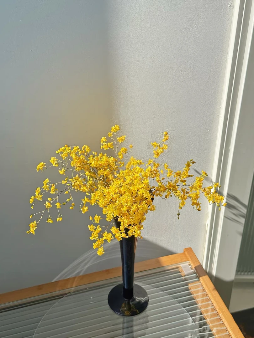 【挚简】高品质鲜花【大花惠兰】