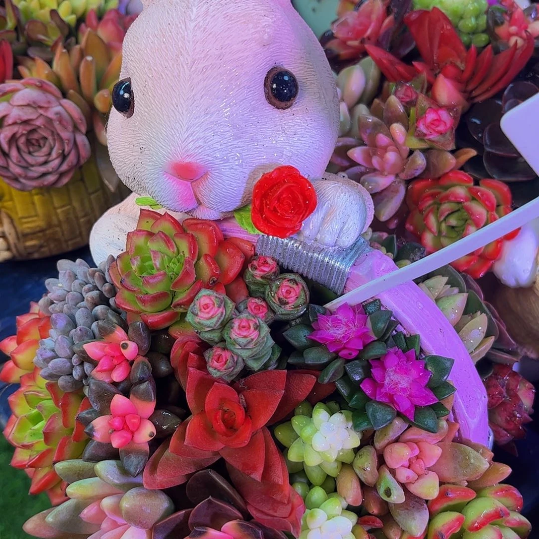 成品懒人彩色盆景