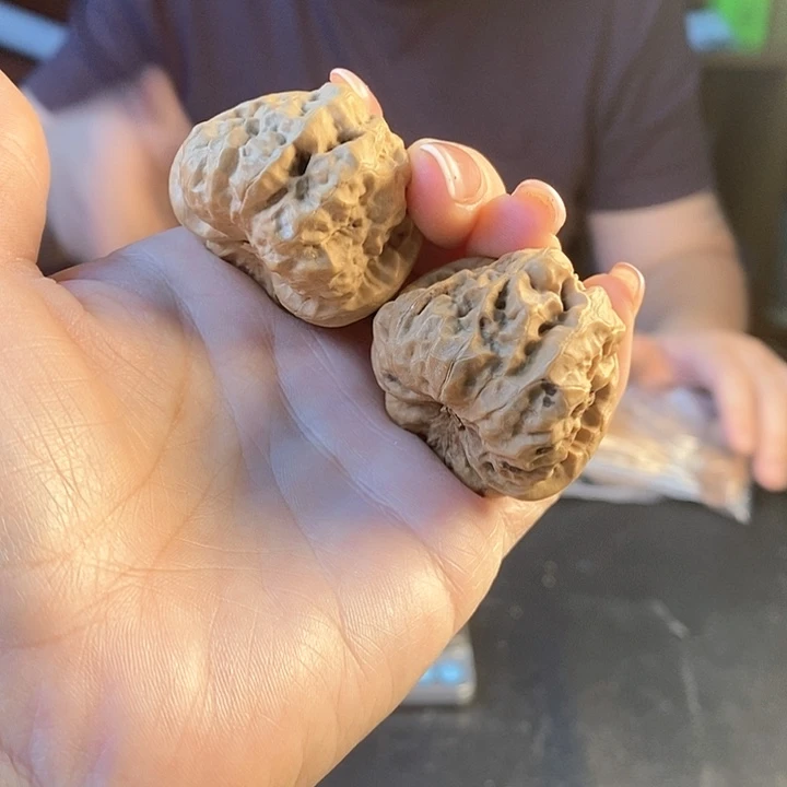 文玩核桃把件哇哇18.8