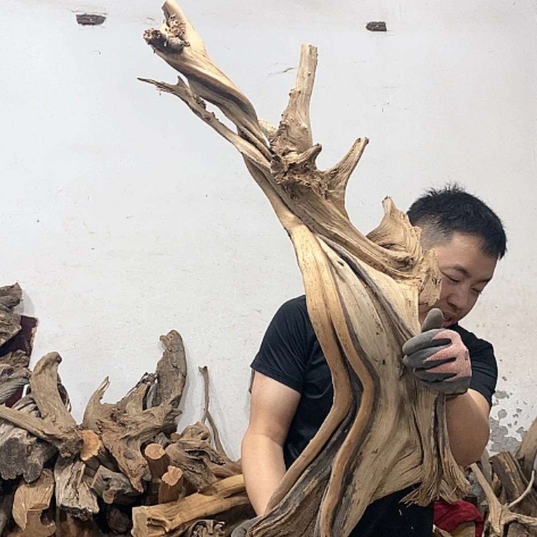 【闪购商品】柏木金*川我们的目标是成为更优秀更优秀