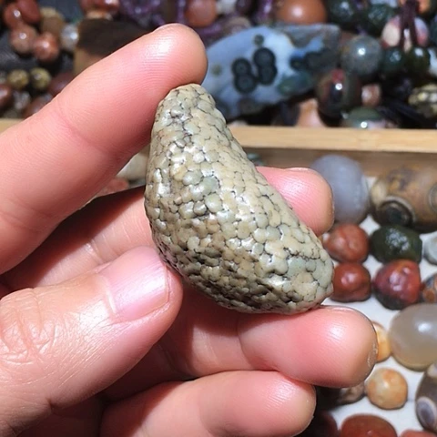 石材嘉吉滩筋脉石