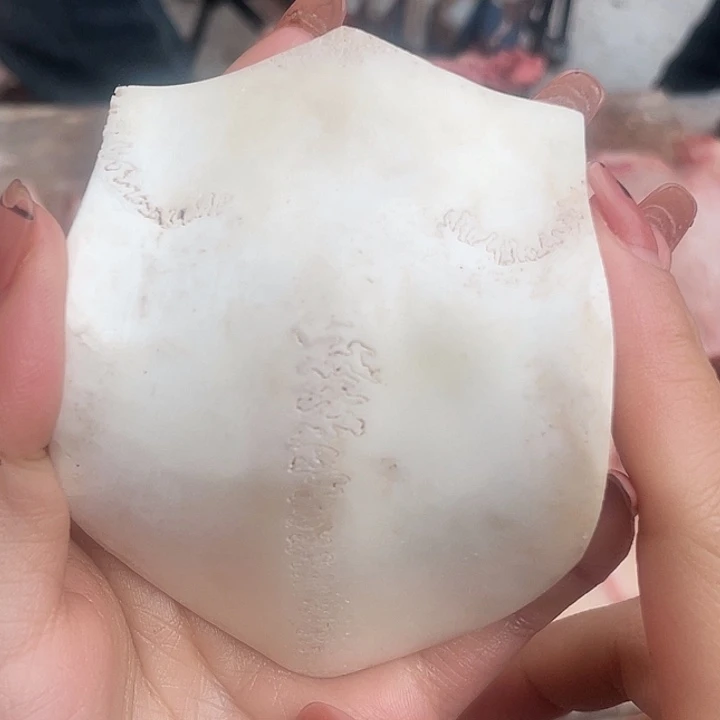 养殖鹿骨三界牌子
