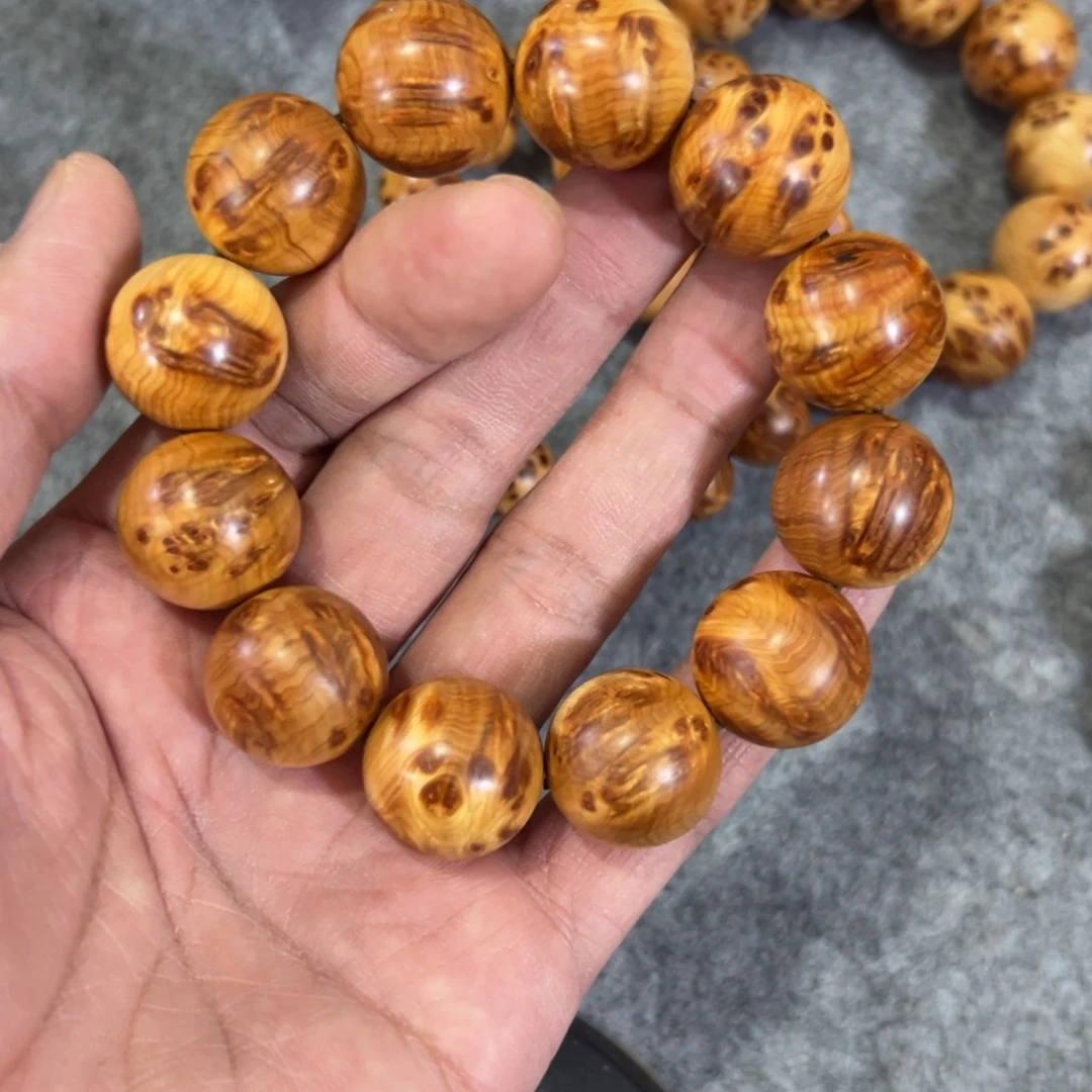 柏木（崖柏）太行瘤花闪电2.0