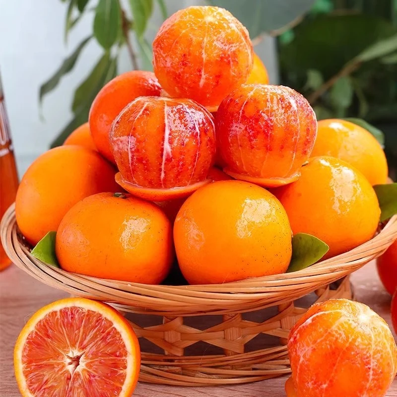 【黄果柑+血橙】净重3斤四川石棉当季新鲜水果现货速发新鲜采摘组合
