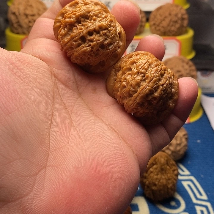 文玩核桃吊坠血麒麟40（磕碰修尖）
