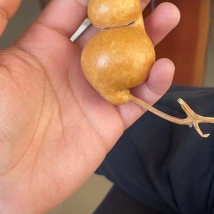 旺***发宝葫芦宝葫芦红红火火