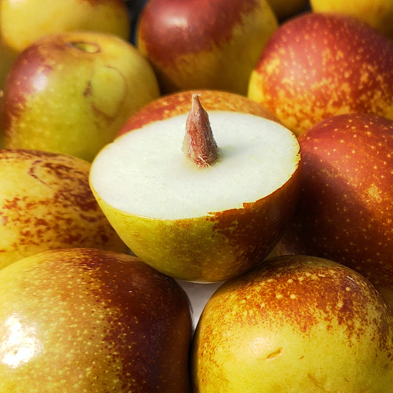 【福利果】5斤鲜枣子陕西大荔冬枣现摘脆甜当季新鲜水果产地直发