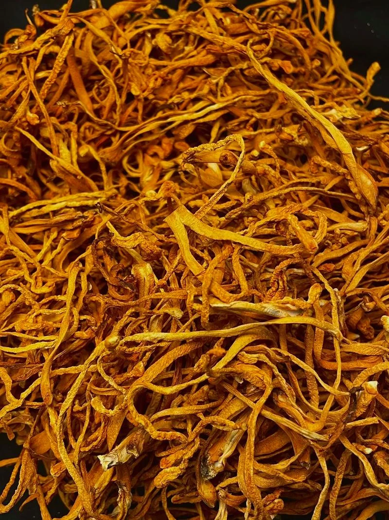 花干货农家新货炖鸡煲汤好食材抖音虫草花干水仙子