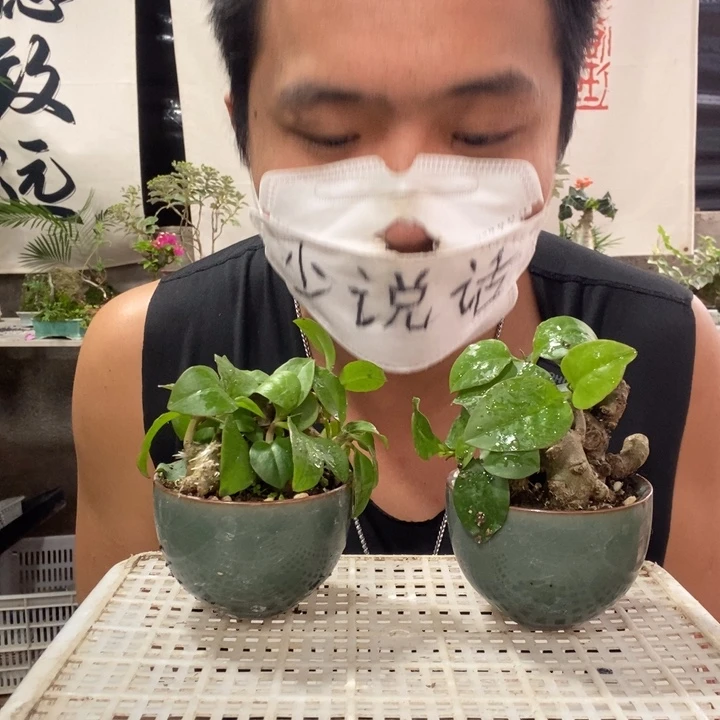 艳****无花朵退款拉黑一物一拍70