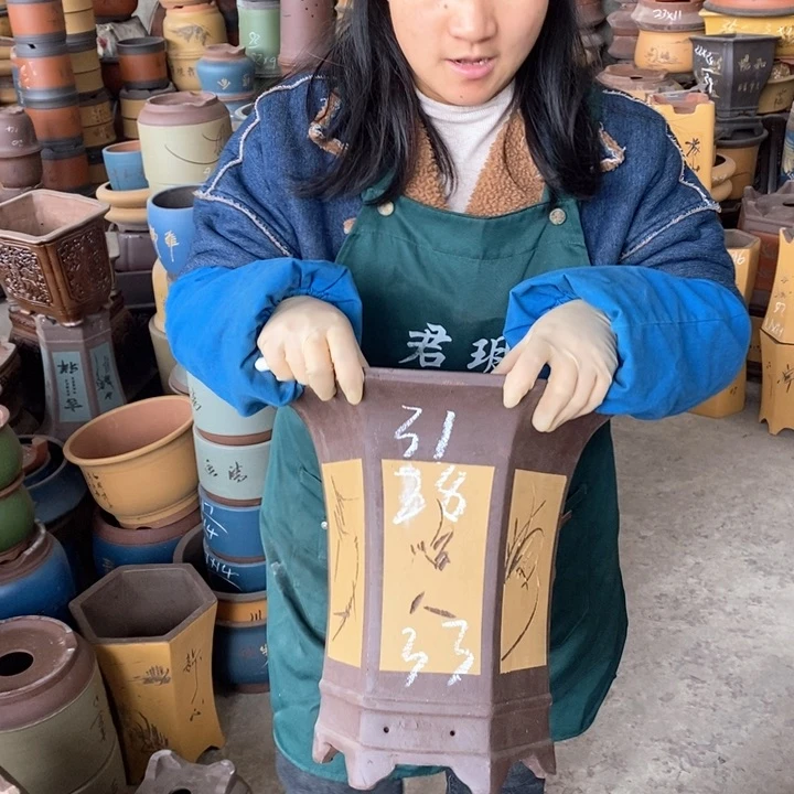 紫砂花盆盆栽花卉苗木种植