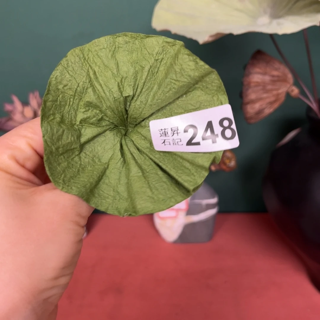 核桃木/黑胡桃（胡桃木）248备注大中小号