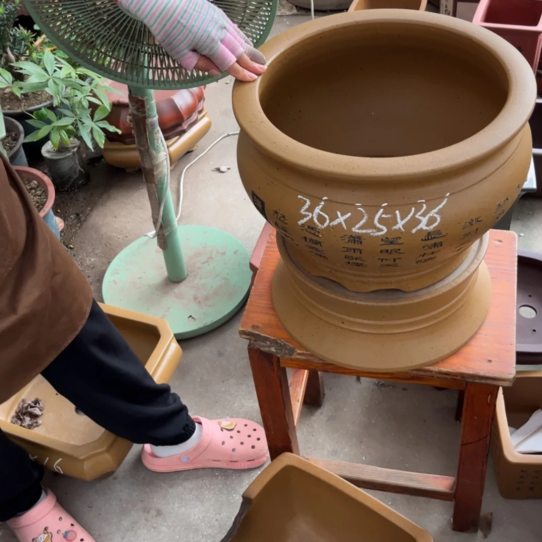 紫砂花盆盆景艺术