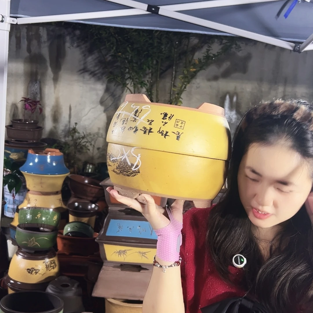 黄色江山如画小号一对