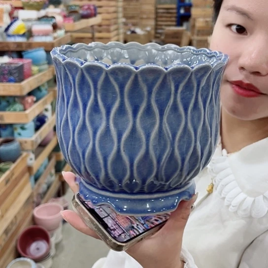 花盆凑单福利满10元发货！