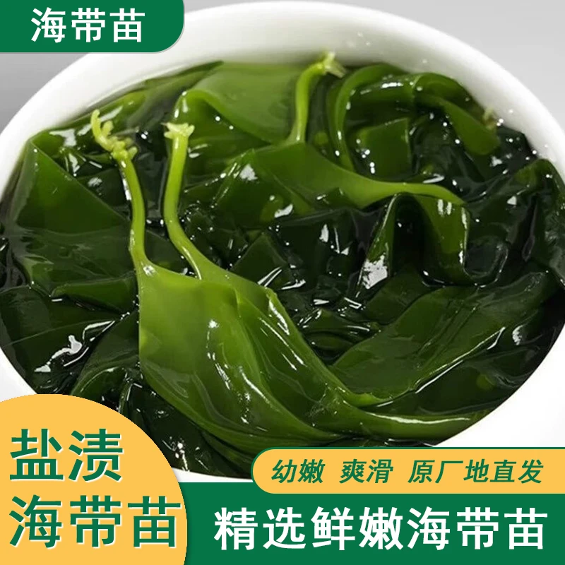 海带苗脆嫩爽滑可凉拌煲汤火锅独立包装无沙无添加