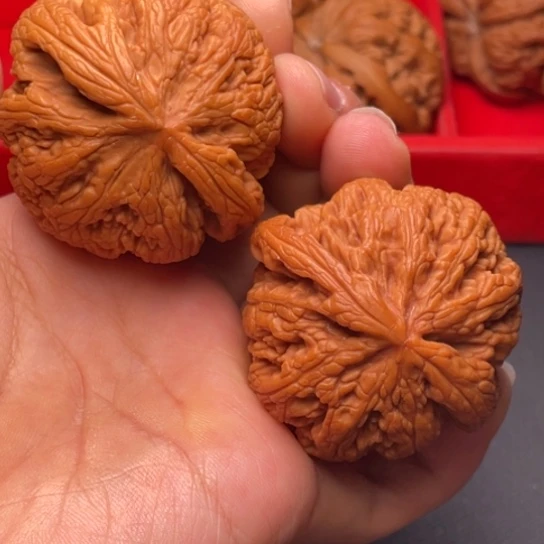 文玩核桃把件秦岭山脉核桃