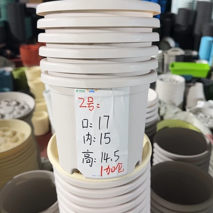 四季2#口径17灰白6个无托