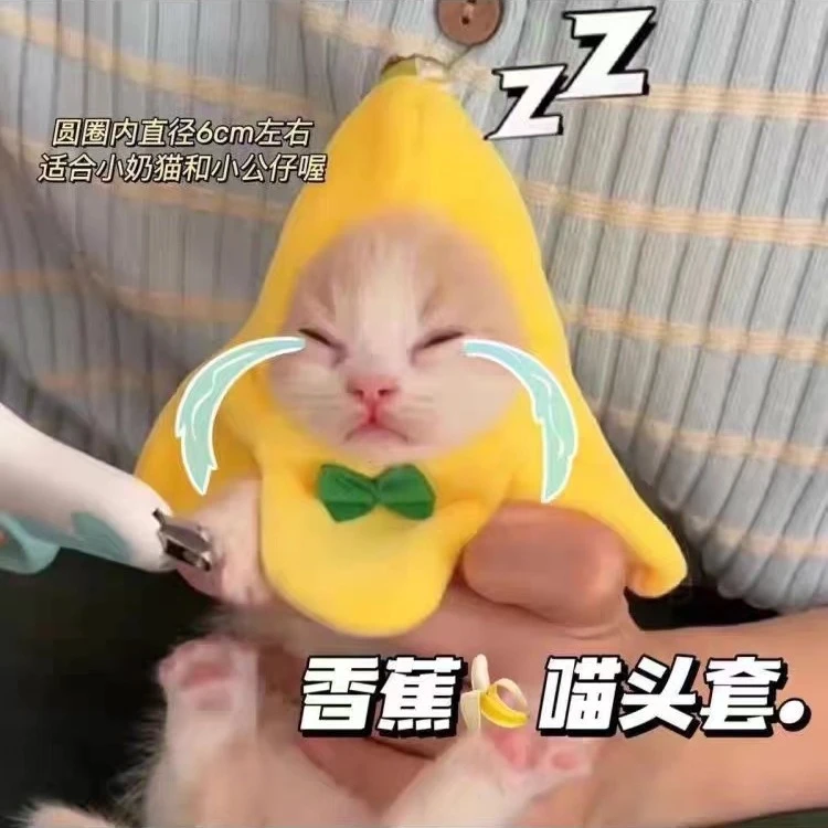 香蕉喵头套香蕉幼猫宠物服装配饰搞怪脖圈迷你创意摆拍道具可爱T