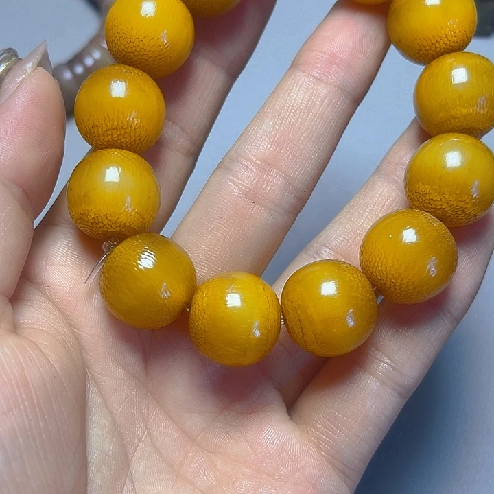 大果紫檀（缅甸花梨）