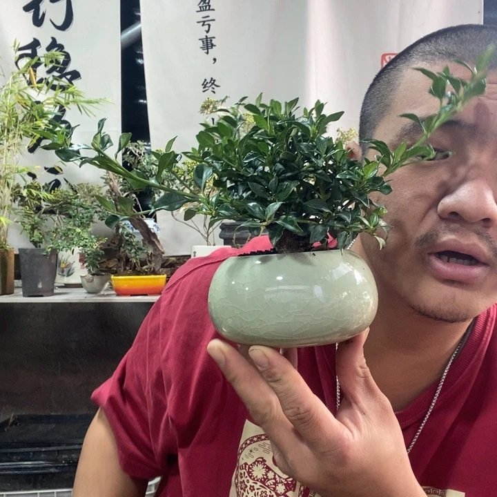 无花朵退款拉黑拉黑 141