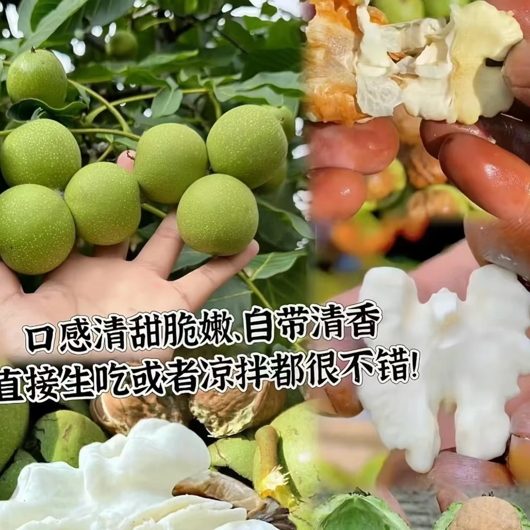 【拉萨同城配送】新鲜核桃 香甜脆 去青皮5斤