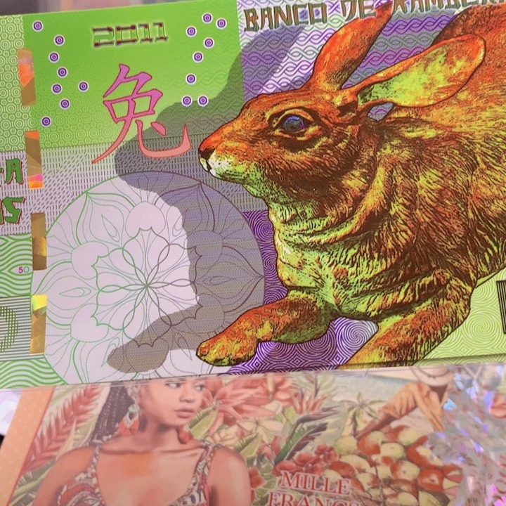 纸币全新堪培拉兔子