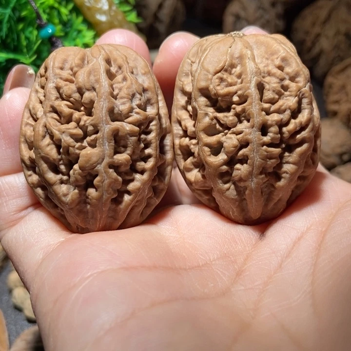 把件文玩核桃东北楸子小雪6