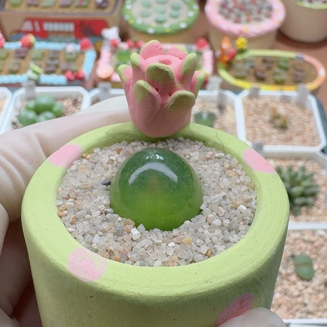 1025-014连盆带花灯泡