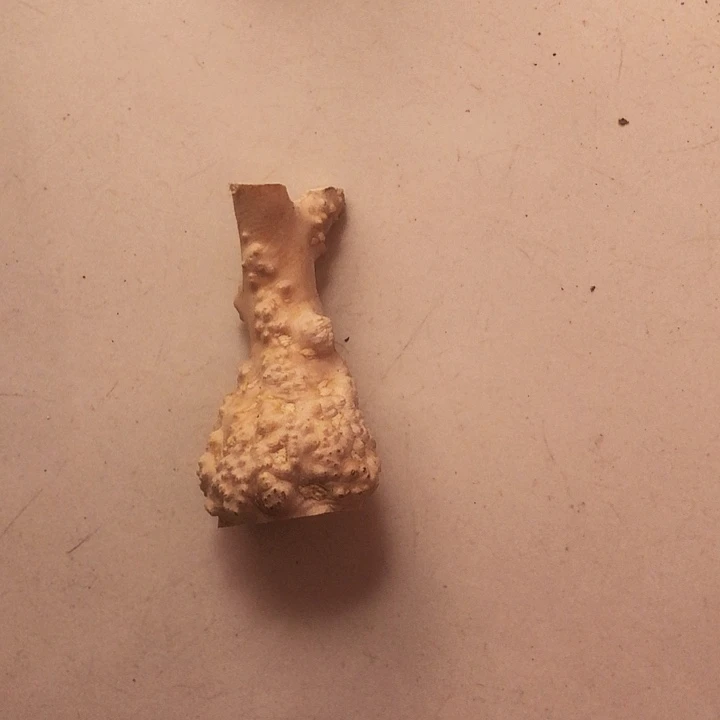 一***村木木料努力努力努力努力