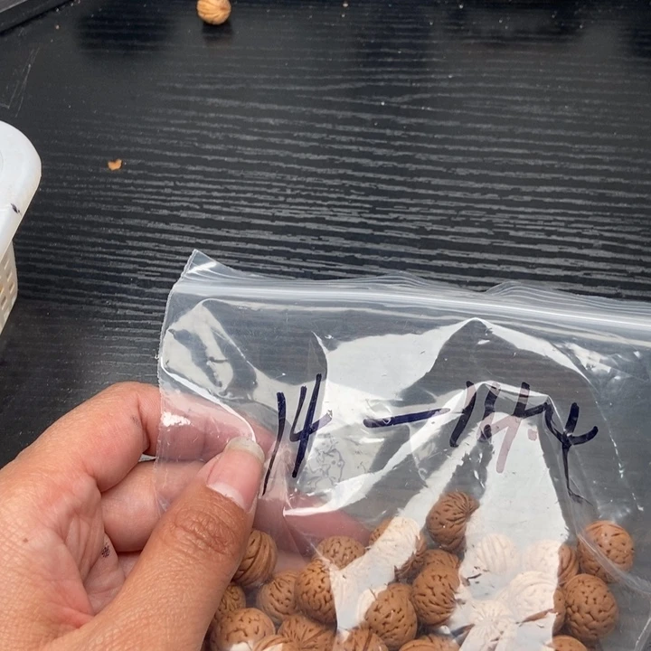 不***辞野生小桃核散籽批发80米