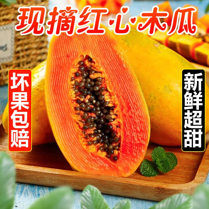 雷州树上熟冰糖心木瓜软糯香甜新鲜当季青皮现摘牛奶木瓜