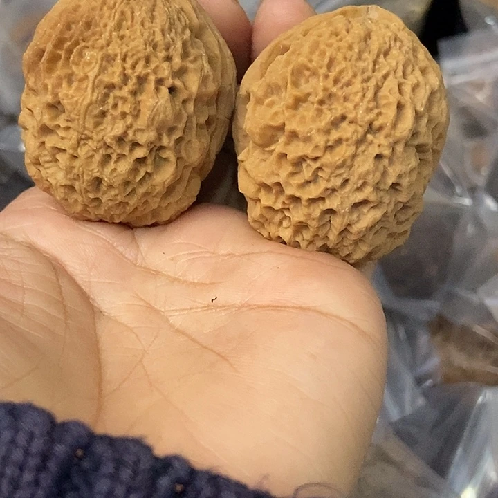 文玩核桃把件云南铁核桃基地17