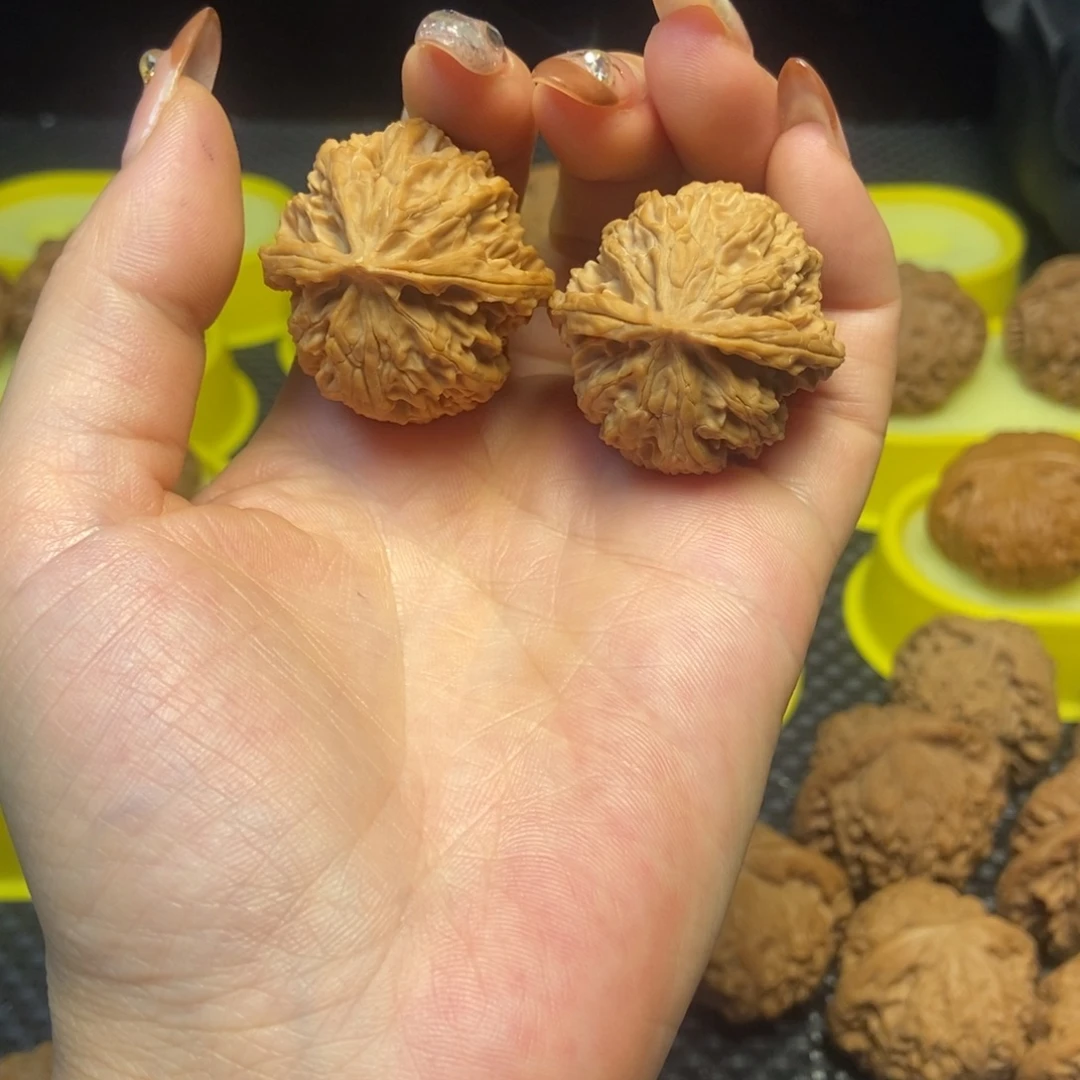 核桃苹果园34全品白茬