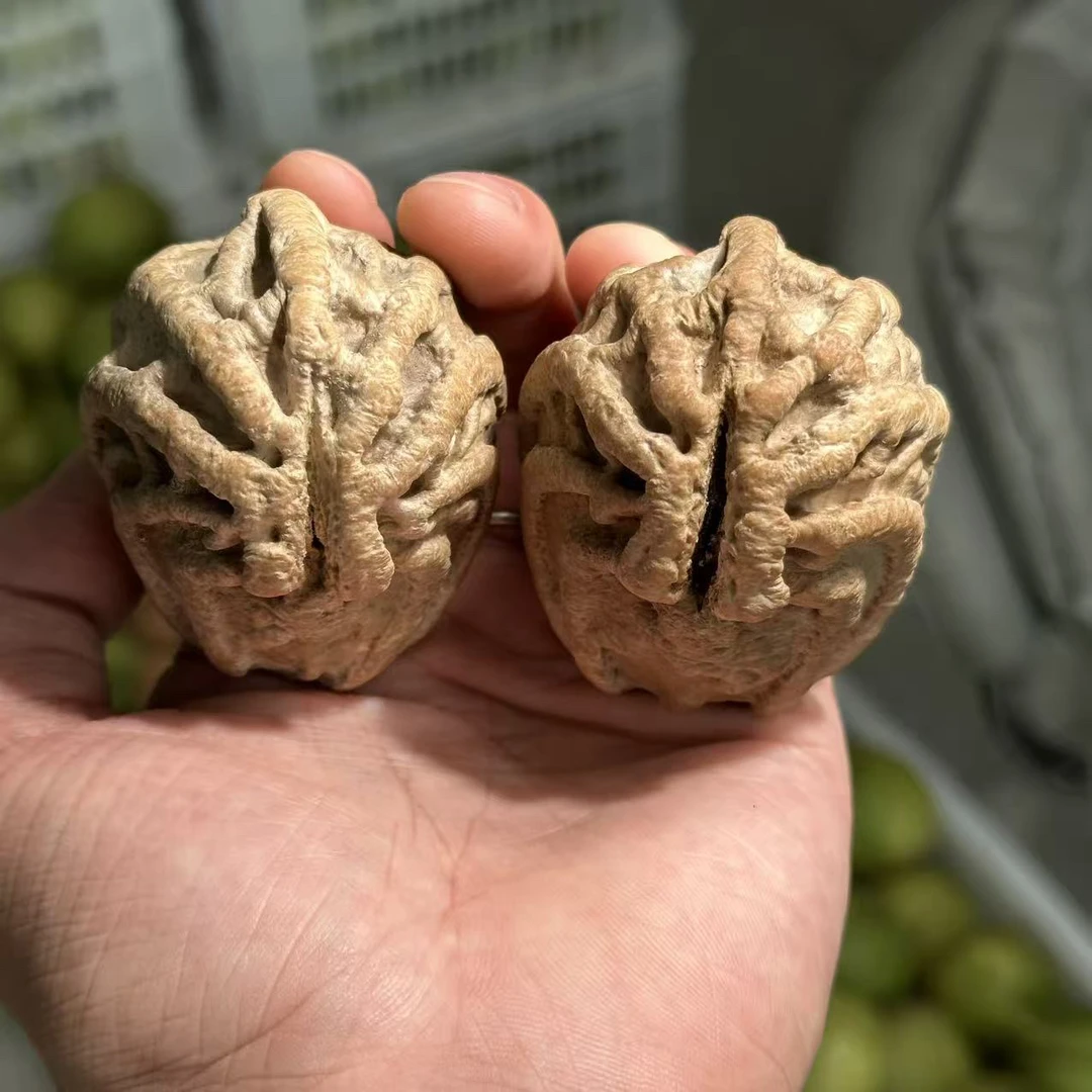 文玩核桃把件粗筋乾坤核 尺寸可选