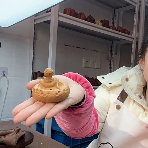 段泥蛇茶宠茶宠茶宠