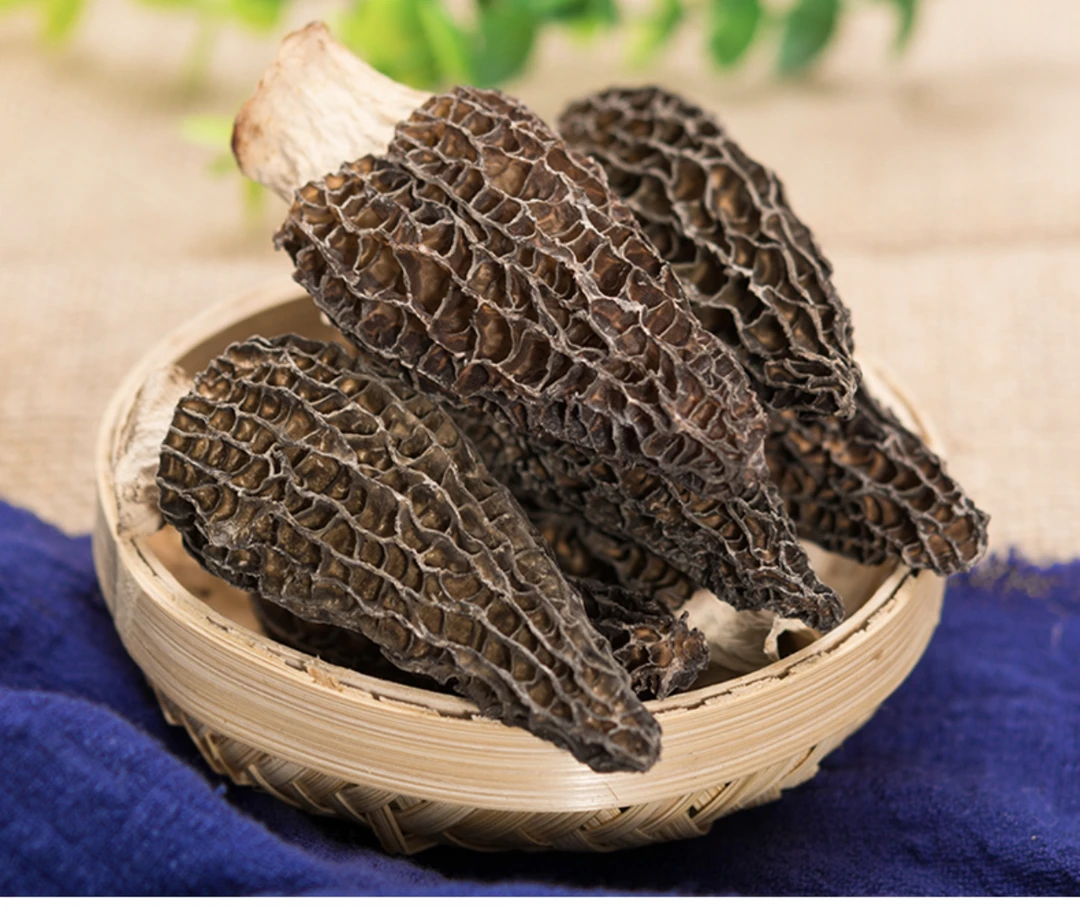 中号头茬厚肉林地高原云南羊肚菌148