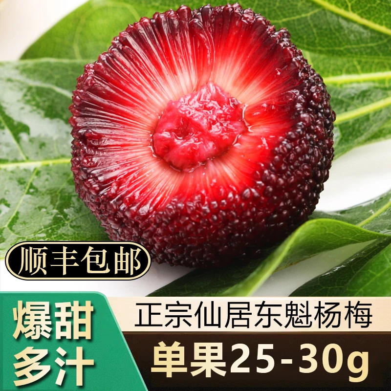 10A颗粒装露天25-30g仙居东魁杨梅大顺丰冷链新鲜水果空运礼盒装