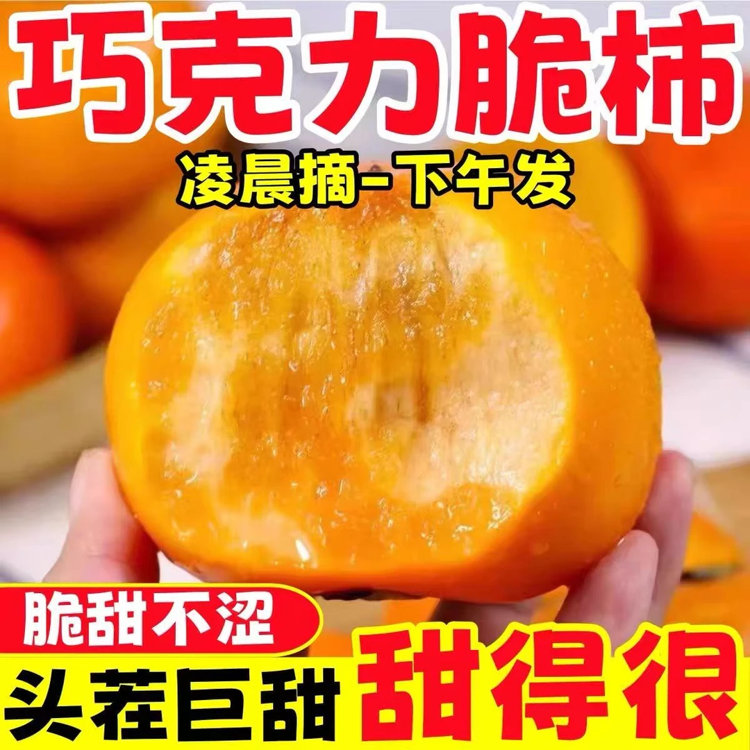 【福利】山西阳丰脆柿新鲜采摘2斤4.5斤