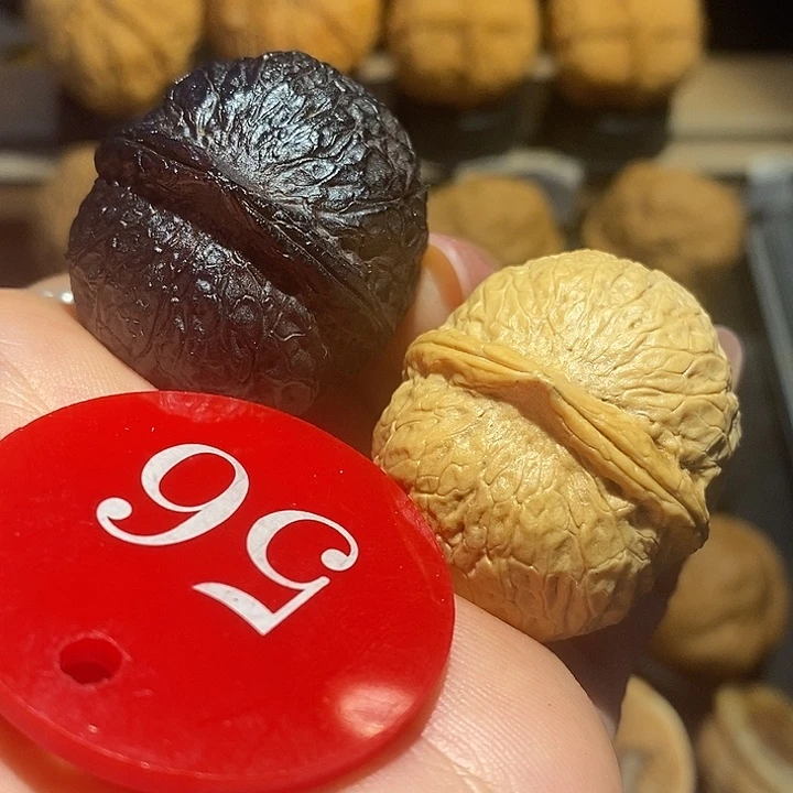 核桃糕*味双色龙珠尺寸35